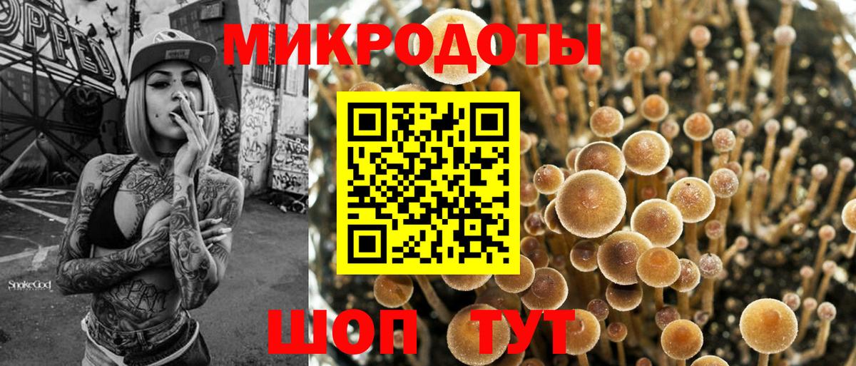 Псилоцибиновые грибы GOLDEN TEACHER Якутск