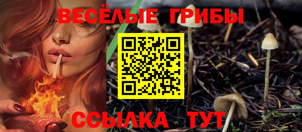 Якутск  Галлюциногенные грибы MAGIC MUSHROOMS  Вход с VPN  Псилоцибиновые грибы мухоморы 